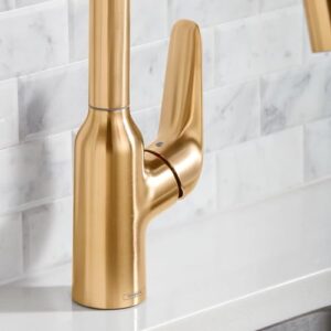 hansgrohe Focus N Gold High Arc Kitchen Faucet, Kitchen Faucets with Pull Down Sprayer, Faucet for Kitchen Sink, Brushed Gold Optic 71800251