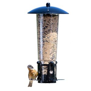 perky-pet 333-1sr squirrel-be-gone max large wild bird feeder with flexports, squirrel proof bird feeder with weight-activated perches - 3lb seed capacity