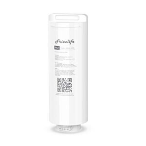 frizzlife asr312-500g ro replacement filter cartridge for px500, px500-a (2nd stage)