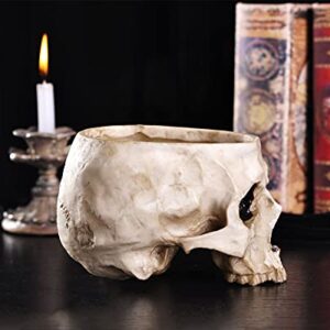 IBWell Modern 6 inch Large Funny Resin Skull Shaped Head Design Flower Pot Planter Container, Decoration Flowerpot Props Home Office Desk Decor