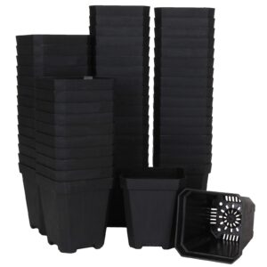 ziqi 60pcs plastic square nursery pot (black) thick plastic square flower planting pots with drainage hole for seed germination, seed starting pots, modern decorative flower pot