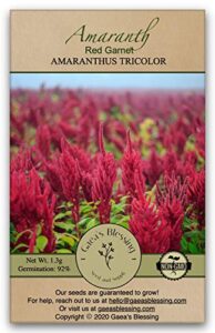 gaea's blessing seeds - amaranth seeds - red garnet - non-gmo seeds with easy to follow planting instructions - open-pollinated - untreated - heirloom - 92% germination - net wt. 1.3g