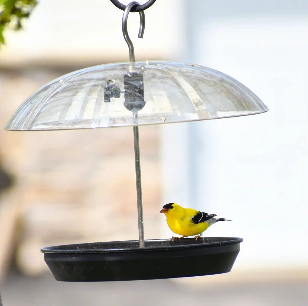 Kingsyard Adjustable Platform Bird Feeder for Outdoors Hanging, Metal Tray Bird Feeder with Dome Top, Attract Bluebirds Cardinals Goldfinches (Black)