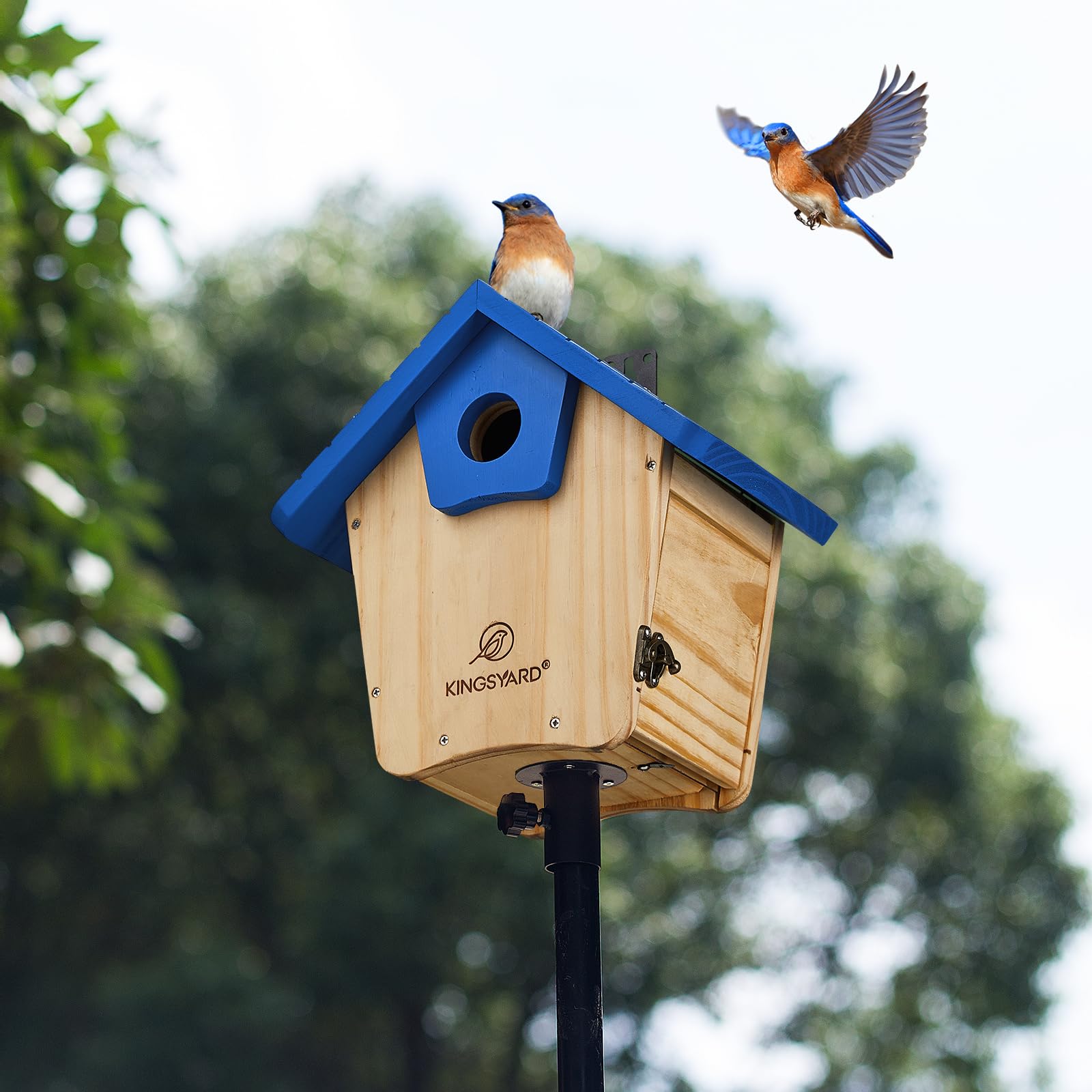 Kingsyard Wooden Bluebird House, Bird House with Predator Guard, Nesting Box Birdhouse for Outside Wild Bird Watching, Royal Blue