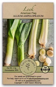 gaea's blessing seeds - leek seeds - non-gmo american flag leek seeds with easy to follow planting instructions - 90% germination rate