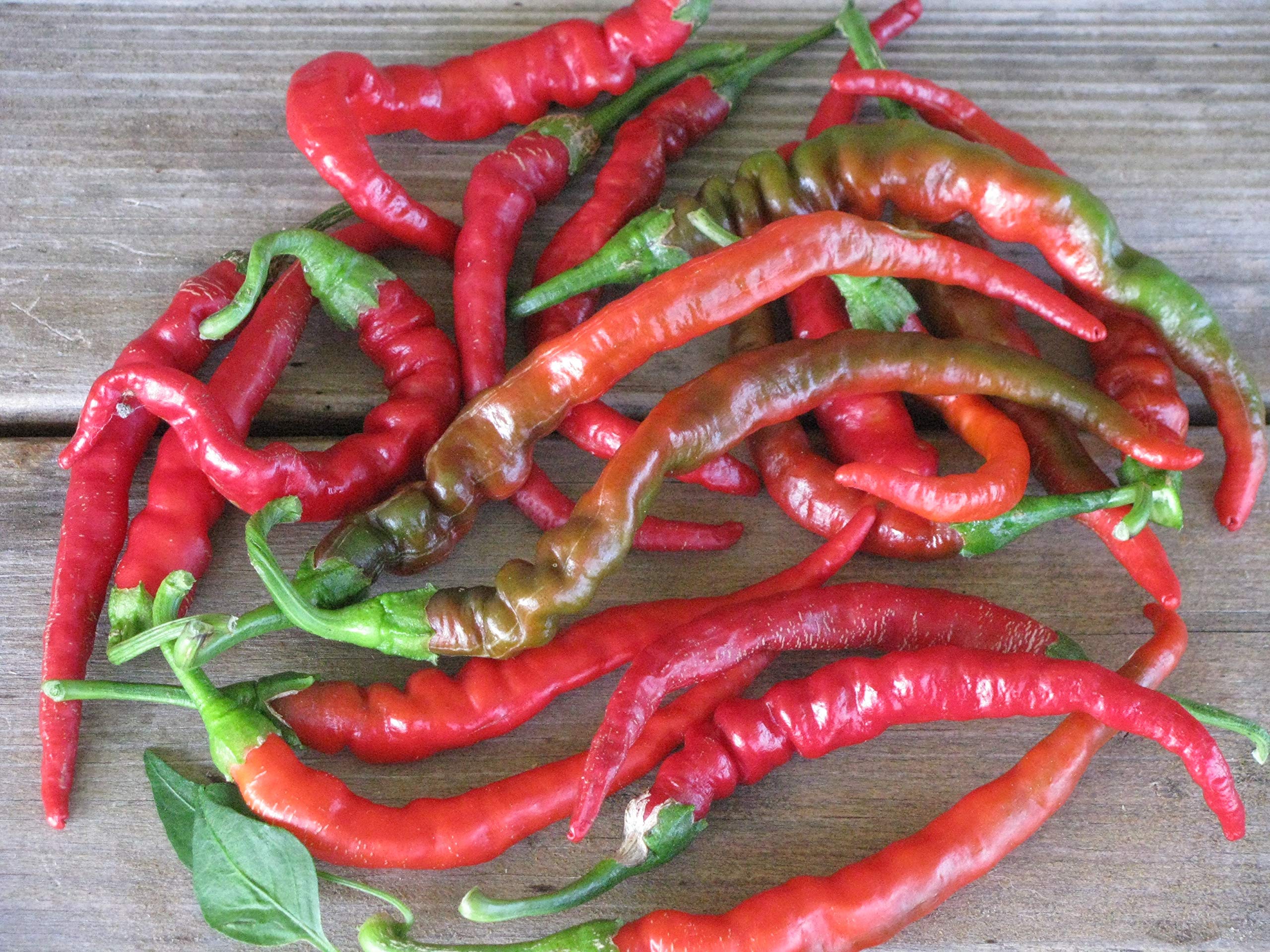 Gaea's Blessing Seeds - Cayenne Pepper Seeds - Heirloom Hot Pepper Long Red Slim Non-GMO Open-Pollinated High Yield Germination Rate 93% Net Wt. 1.0g