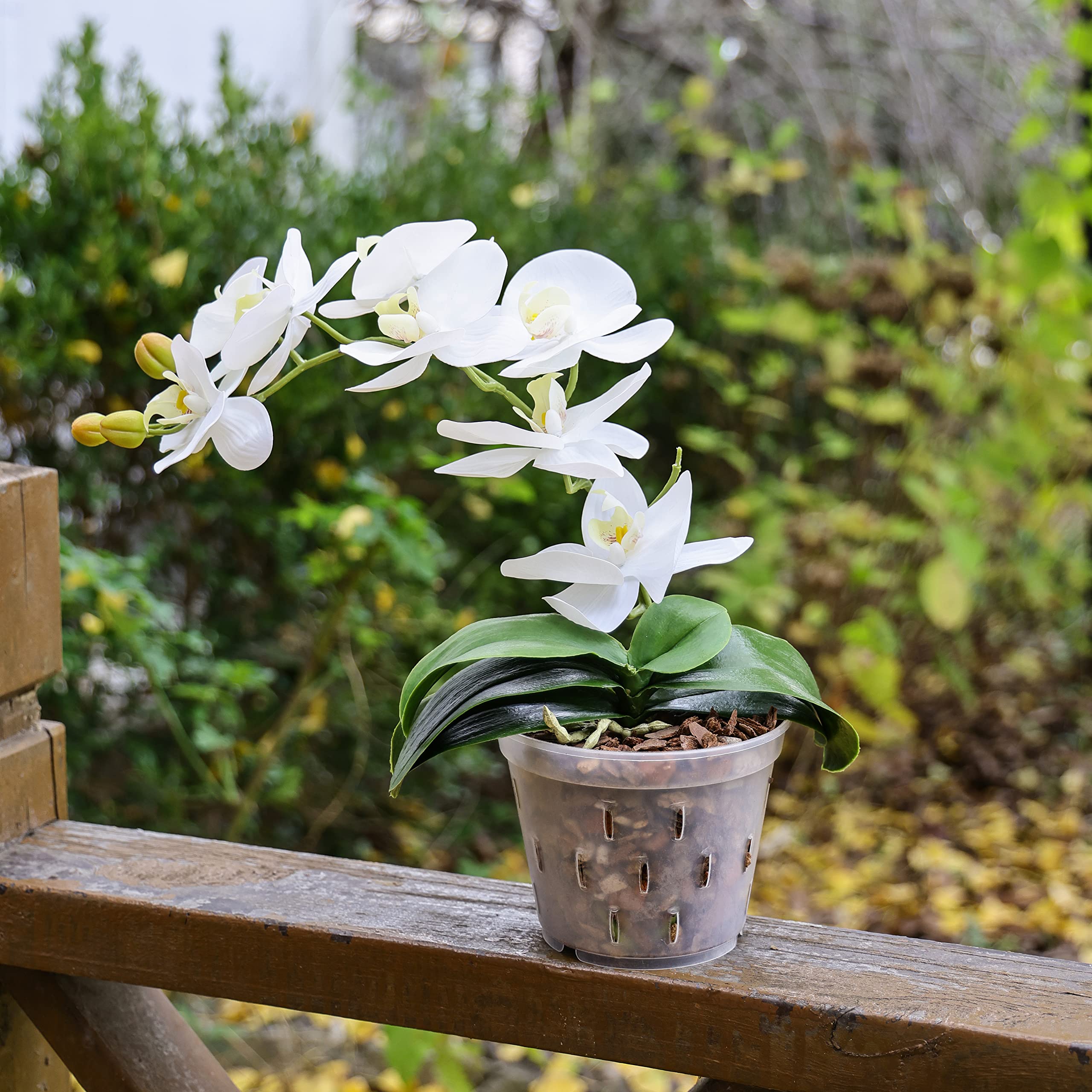 TRUEDAYS Orchid Pots with Holes Plastic Flower Plant Pot Clear Plastic Orchid Pot for Indoor Outdoor,2 Each of 4.5 Inch/5.5 Inch/7 Inch - 6 Pack