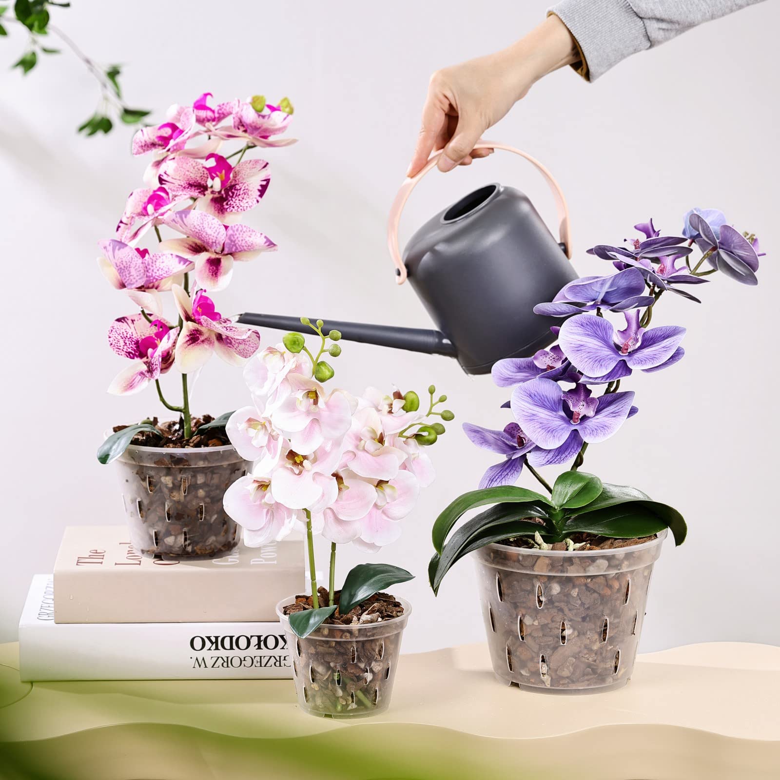 TRUEDAYS Orchid Pots with Holes Plastic Flower Plant Pot Clear Plastic Orchid Pot for Indoor Outdoor,2 Each of 4.5 Inch/5.5 Inch/7 Inch - 6 Pack