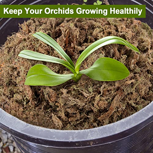 10 Oz Natural Sphagnum Moss for Plants- 22QT Dried Orchid Moss for Repotting Moisture Holding Plant Moss for Potted Plants Indoor Plant Growing Medium for Carnivorous Plants Succulent