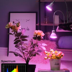 APLANT Grow Light for Indoor Plants, Desk Clip Plant Light with Cool White Red Blue LEDs,14W Flexible Dual Head Plant Lamp with Auto Timer 6/10/12H, Out of The Box Plant Grow Light for House Plants