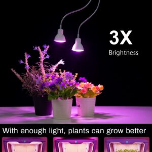 APLANT Grow Light for Indoor Plants, Desk Clip Plant Light with Cool White Red Blue LEDs,14W Flexible Dual Head Plant Lamp with Auto Timer 6/10/12H, Out of The Box Plant Grow Light for House Plants