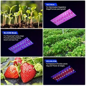 WZDRAGON 2024 Newest BW1000 LED Grow Lights Double Chips Full Spectrum for Greenhouse and Indoor Plant Veg and Flower Growing [White]