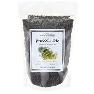 broccoli trio sprouting & microgreen mix | contains 3 heirloom, non gmo broccoli sprouting seed varieties for broccoli sprouts & microgreens | 1 lb resealable bag | rainbow heirloom seed co.