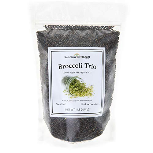 Broccoli Trio Sprouting & Microgreen Mix | Contains 3 Heirloom, Non GMO Broccoli Sprouting Seed Varieties for Broccoli Sprouts & Microgreens | 1 LB Resealable Bag | Rainbow Heirloom Seed Co.