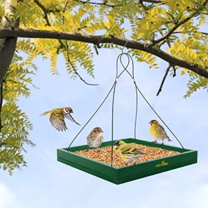 MIXXIDEA Bird Feeder Hanging Tray, Seed Tray Wooden Platform Hummingbird Feeder Hanging Tray Mesh Seed Platform for Garden Yard Outside Decoration Attracting for Wild Birds (Green-1pk)