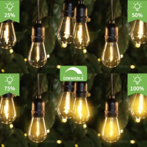 LUKASUMI 48Ft LED Outdoor String Lights with Dimmer, 15+(1) Edison Bulbs Waterproof Patio String Lights with 4 Brightness Modes Remote Control (Included), Porch Backyard Bistro Decoration