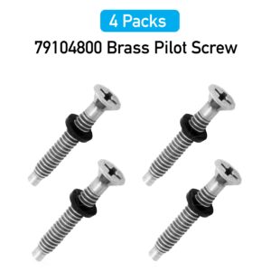 AR-PRO (79104800 Pool Light Gasket Screws with Washers - Stainless Steel Screws Compatible with Pentair IntelliBrite, Amerlite, and SAM Amerlite Pool and Spa Lights