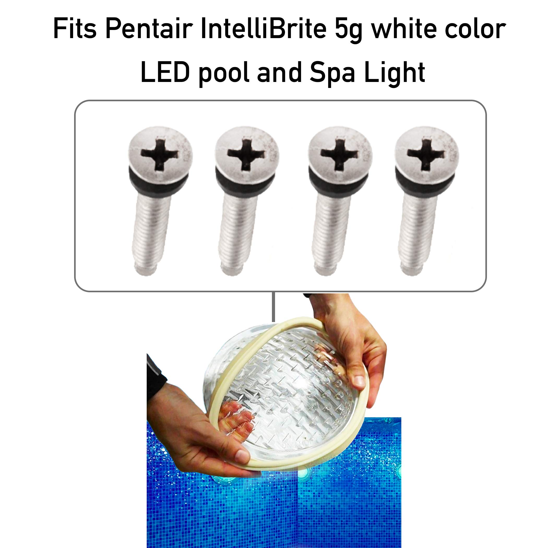 AR-PRO (79104800 Pool Light Gasket Screws with Washers - Stainless Steel Screws Compatible with Pentair IntelliBrite, Amerlite, and SAM Amerlite Pool and Spa Lights