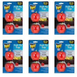 raid fruit fly trap bundle fruit fly traps for kitchen, fly trap indoor use, fly traps, fly killer, fly catcher for food prep areas, gnat trap indoor use (6 pack)' (6 pack, 12 total traps)