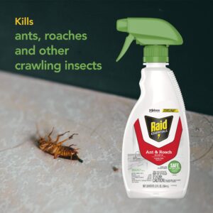 Raid Essentials Ant & Roach Killer Spray Bottle, Child & Pet Safe, Kills Insects Quickly, for Indoor Use, 12 Fl Oz (Pack of 3)