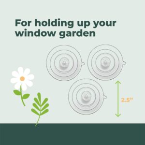 Window Garden Replacement Suction Cups - 12 Clear, Large Super Strong Window Suckers - Heavy Duty Suction Cups for Glass Surfaces - Veg Ledge Shelf, Suncatchers, Decorations, Bird Feeder, Windshield