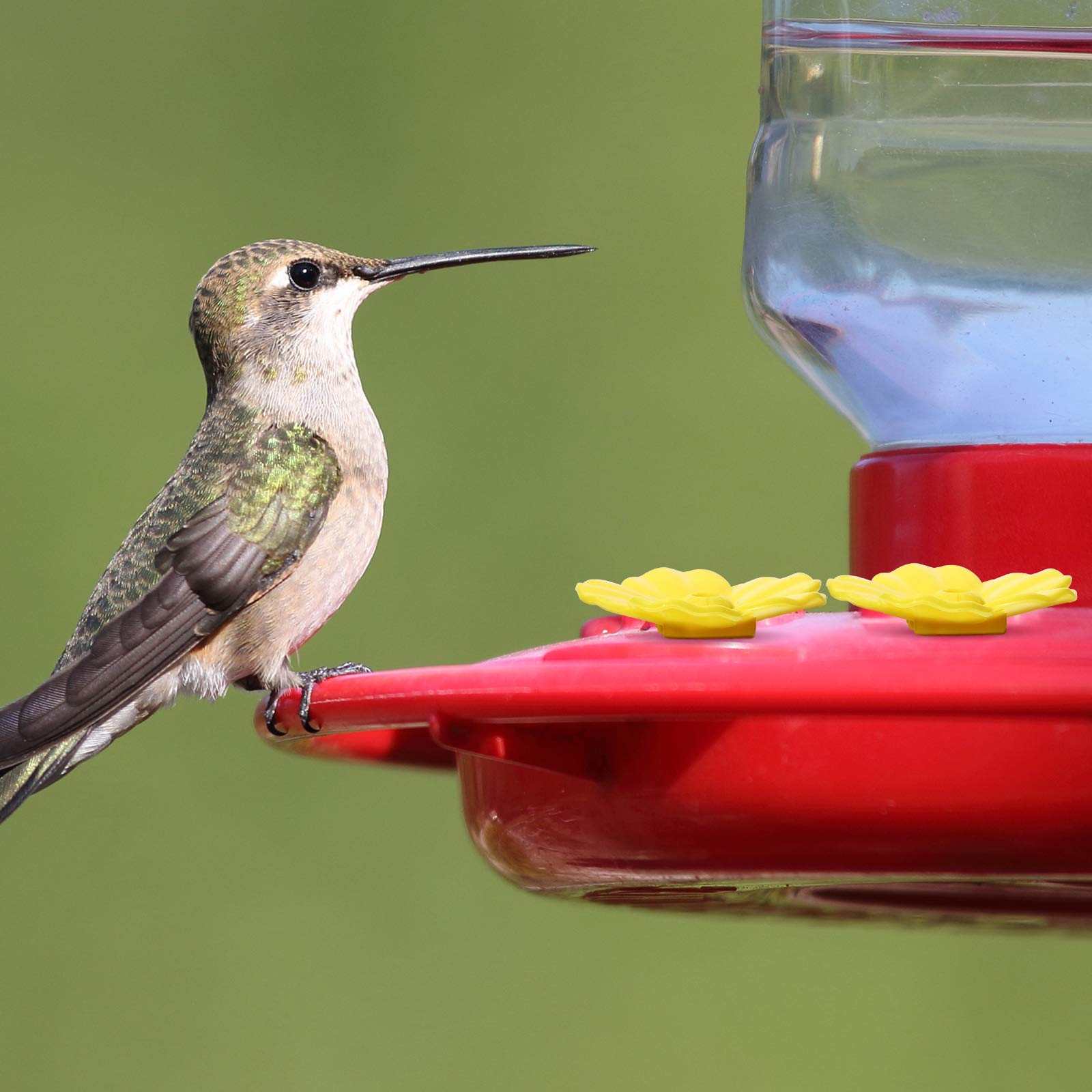 Hummingbird Feeders Replacement Flowers, Feeding Ports Replacement Bird Feeder Replacement Parts for Hummingbird Feeder Hanging Feeder (Yellow,16 Pieces)