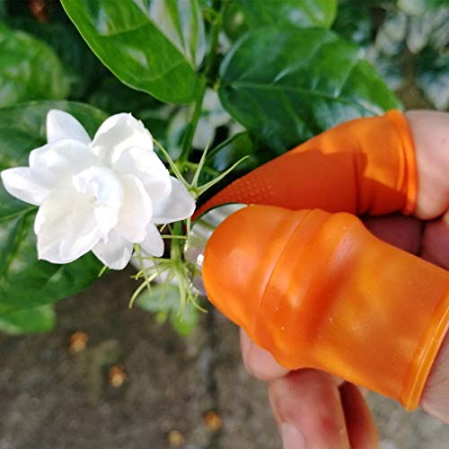 JF-XUAN Shear Tool Thumb Cutter Separator Finger Tool Picking Equipment Easy To Cut In Labor-saving For Garden Harvesting Plants Gardening BV789 (Color : S long)