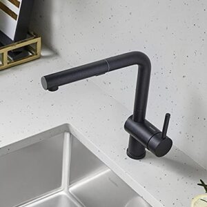 BLANCO 526367 Linus Low-Arc Pull-Out Dual Spray Kitchen Faucet, 1.5 GPM, Anthracite