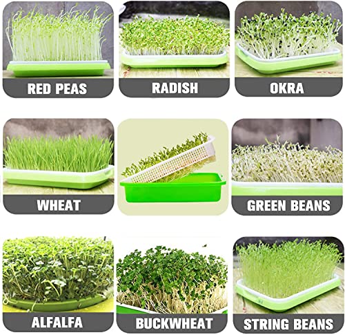 Legigo 5 Pack Seed Sprouter Trays with Lids- Soil-Free Cultivation Germination Tray, BPA Free Micro Greens Growing Trays Seed Sprouting Trays Kit with Germinating Paper for Wheatgrass, Beans and More