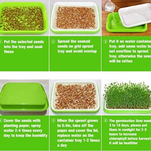 Legigo 5 Pack Seed Sprouter Trays with Lids- Soil-Free Cultivation Germination Tray, BPA Free Micro Greens Growing Trays Seed Sprouting Trays Kit with Germinating Paper for Wheatgrass, Beans and More