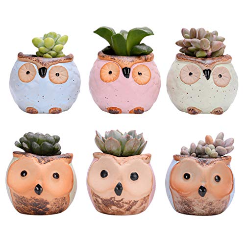 6pcs Fleshy Flower Pot Garden Plant Holder Ceramic Flower Pot Succulent Plant Pot Small Flower Pots Decorative Flower Pots Cactus Planter Mini Flower Pot Ceramics Succulent Plants