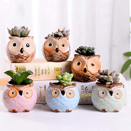 6pcs Fleshy Flower Pot Garden Plant Holder Ceramic Flower Pot Succulent Plant Pot Small Flower Pots Decorative Flower Pots Cactus Planter Mini Flower Pot Ceramics Succulent Plants