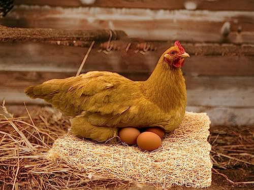 Backyard Barnyard 12 Pack Chicken Nesting Box Pad Made in USA! 13 x 13 Excelsior Liner for Coop Aspen Hay Fiber Poultry Bedding for Egg Laying Hens Pollos Chook