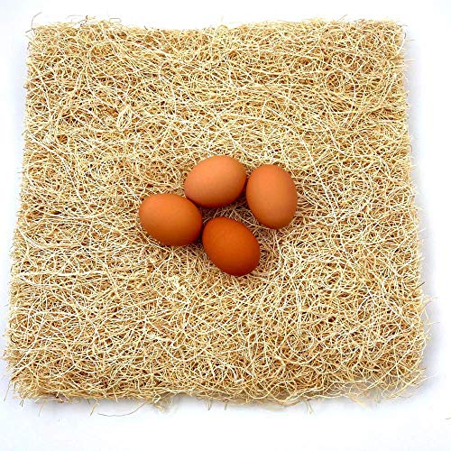 Backyard Barnyard 12 Pack Chicken Nesting Box Pad Made in USA! 13 x 13 Excelsior Liner for Coop Aspen Hay Fiber Poultry Bedding for Egg Laying Hens Pollos Chook