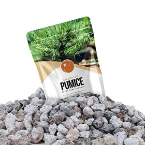 ho yoku pumice for plants, 2.25 quarts, horticultural american pumice rocks, additive for bonsai soil, succulent soil, or houseplants