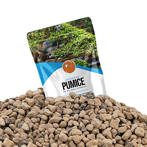 Ho Yoku Pumice for Plants, 2.25 Quarts Japanese Pumice Rock, Tan in Color Soil Additive for Succulents, Cacti, Bonsai, Horticultural Bonsai Pumice Stone