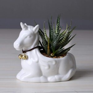 1pc Mini Succulent Pot indoor planters animal flower pot Flower planting Pot decorative pot planter unicorn Planter flower pot table decoration garden planters white cactus Cartoon