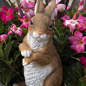 CLEVER GARDEN Rabbit Garden Statue Outdoor Décor, Resin Figurine Decoration for Lawn, Yard, Patio, Porch, and More