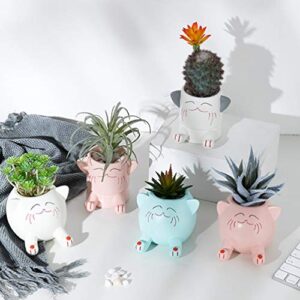 BESPORTBLE Knickknack Planter Container vase Decor Mobile Phone Holder Mini Table top Decor vase Desk top Decor Flowers Decorate Ceramics Desk Mini containers Succulents Cat Basin Bracket