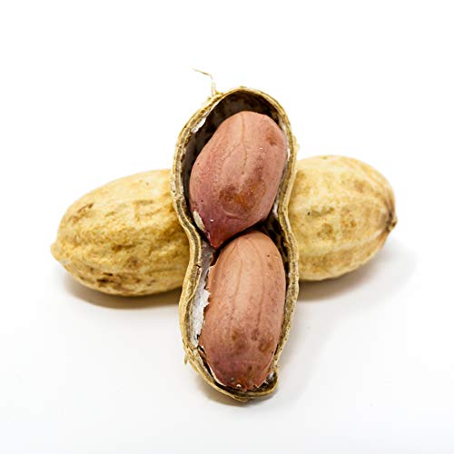 Sky | Premium USA Grown, Raw Peanuts in Shell For Squirrels, 2.5lb | Unsalted Peanuts In The Shell, Boiled Peanuts, Jumbo Raw Peanuts in the Shell, Squirrel Peanuts in Shell Unsalted