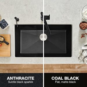 BLANCO Performa Kitchen Sink, Coal Black