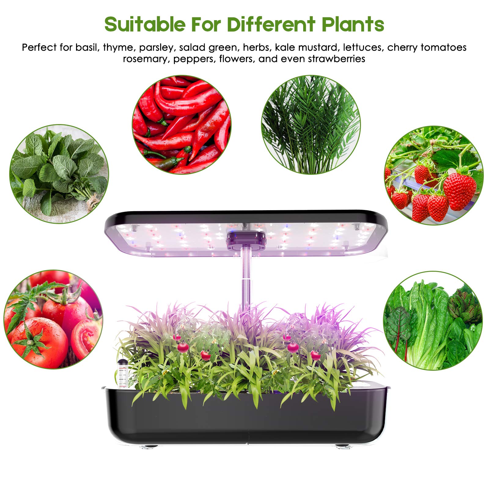 Hydroponics Growing System, EZORKAS 12 Pods Indoor Herb Garden Starter Kit with LED Grow Light, Smart Germination Kit Garden Planter for Family Home Kitchen with Cycle Timing Function