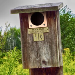 Metal Portal Bird House Guard Copper Portal for Eastern Bluebird Houses 1 Opening (6, 1.5 Inch)