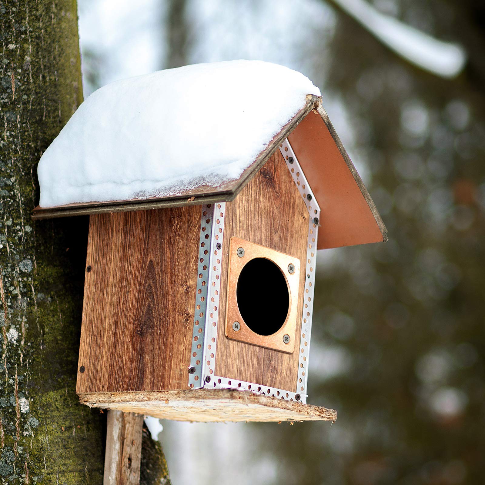 Metal Portal Bird House Guard Copper Portal for Eastern Bluebird Houses 1 Opening (6, 1.5 Inch)