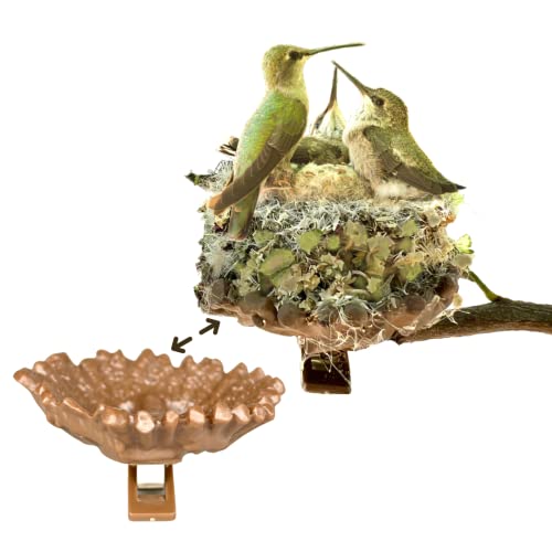 Quackups 2.6" Hummingbird Nesting Pods™, 2-Pk with Clips to Easily Attached on Branch for Outdoor Patio Garden Bird House