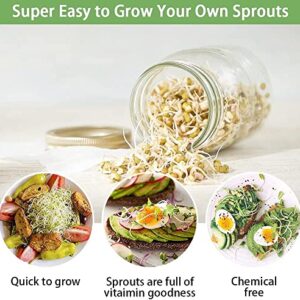 Seed Sprouting Jar Broccoli Sprouts Growing Kit with Screen Lids Wide Mouth Mason Jars for Growing Broccoli, Alfalfa, Mung Bean, Seed Germination Kit Indoor Sprouter Set, 2 Pack