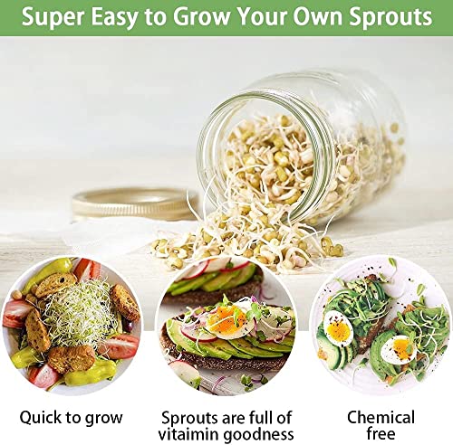 Seed Sprouting Jar Broccoli Sprouts Growing Kit with Screen Lids Wide Mouth Mason Jars for Growing Broccoli, Alfalfa, Mung Bean, Seed Germination Kit Indoor Sprouter Set, 2 Pack