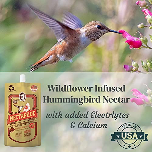 POP'S Birding Nectarade Hummingbird Nectar | USA Made Premium Humming Bird Food - Dye Free, Natural Ingredients (Ready to Use, All Natural Clear Formula, 8.5 oz)