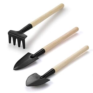 bushwalk set of 3pcs gardening tools for small plants succulents pots flower cactus - bonsai tool kit gift for kids and adults
