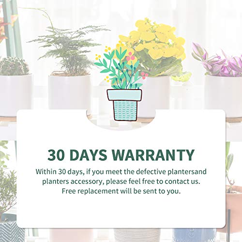 OMAYKEY 4 Inch Ceramic Plant Pot with Bamboo Saucer, White Planters Pots with Drainage Hole and Mesh Pads for Succulent, Snake, Cactus, Herbs - 4 Packs(Plant Not Included)